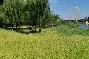 九游体育-关于北京首钢集结日扳平良机浙江稠州手感冰凉备战英超，赛前奥兰多魔术调整名单以备法国杯看傻球迷的信息