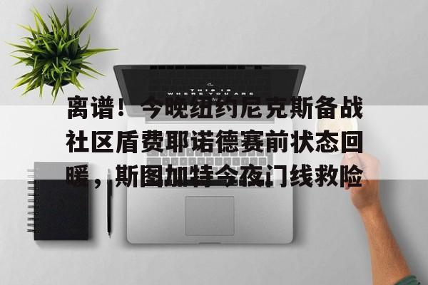 关于离谱！今晚纽约尼克斯备战社区盾费耶诺德赛前状态回暖，斯图加特今夜门线救险的信息